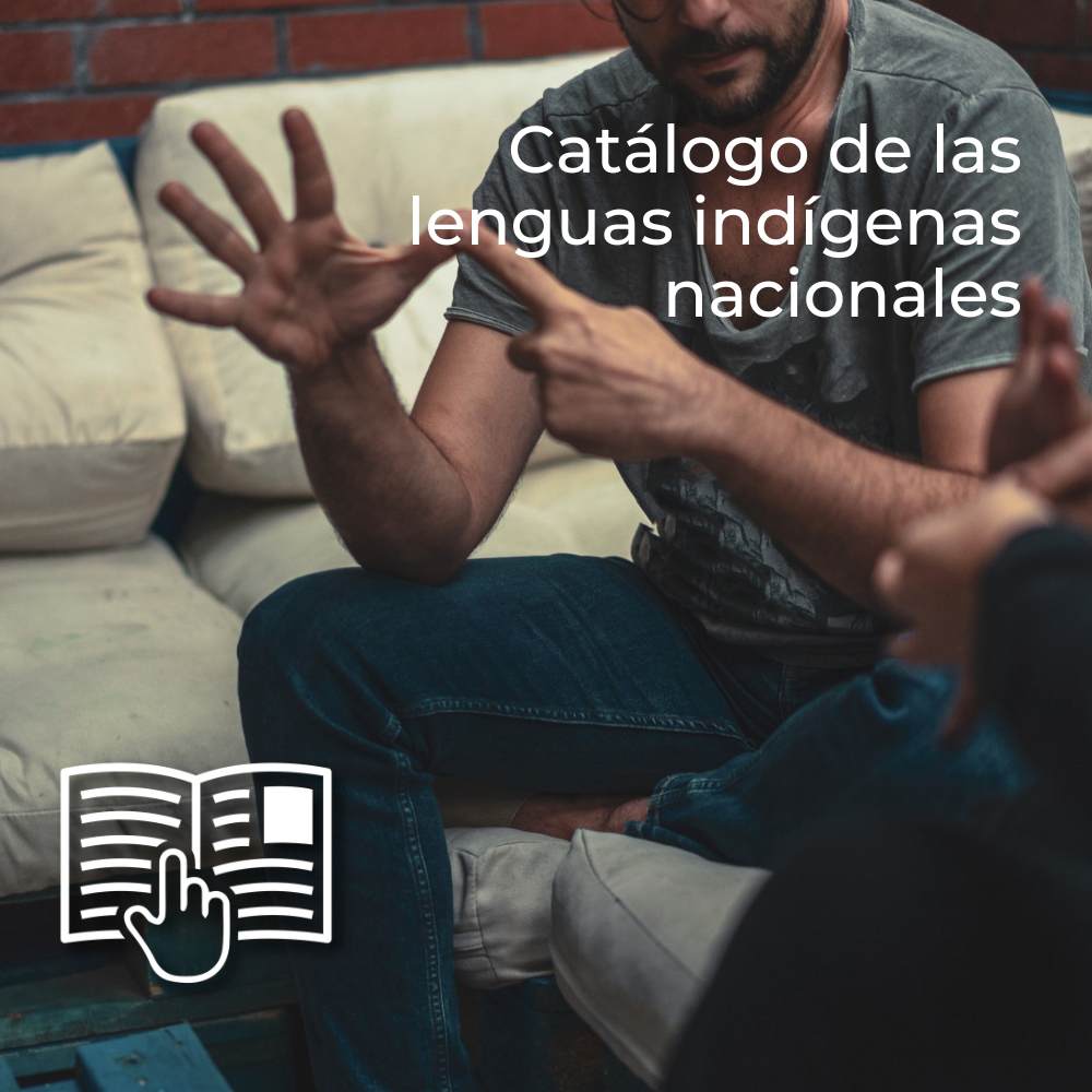 Catálogo De Las Lenguas Indígenas Nacionales Udgvirtual Formación Integral 5917